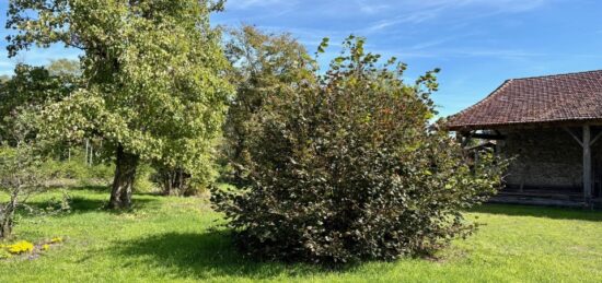 Terrain à bâtir à Martillac, Nouvelle-Aquitaine