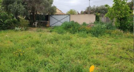 Canet Terrain à bâtir - 2380375-10986annonce1202509158hQfd.jpeg Maisons France Confort