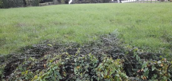 Terrain à bâtir à Verneuil-sur-Vienne, Nouvelle-Aquitaine