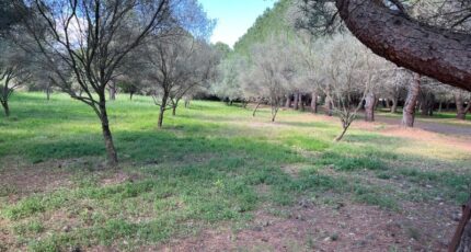 Lézignan-la-Cèbe Maison neuve - 2380464-11018annonce420250911faLPF.jpeg Maisons France Confort