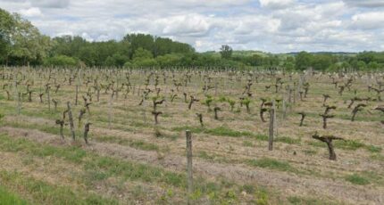 Virelade Terrain à bâtir - 2353660-11306annonce1202512015lULG.jpeg Maisons France Confort