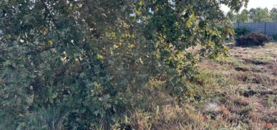 Terrain à bâtir à Bénesse-Maremne, Nouvelle-Aquitaine