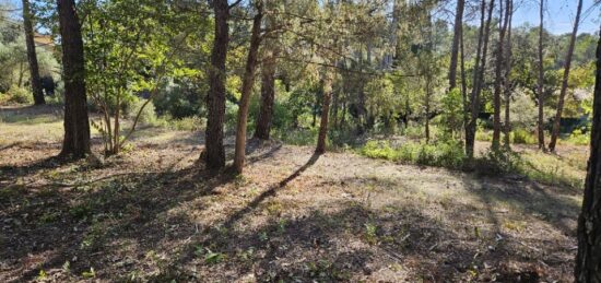 Terrain à bâtir à , Var