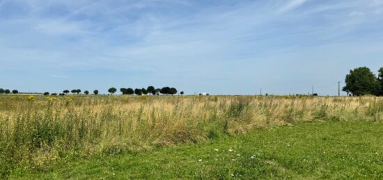 Terrain à bâtir à Vitry-en-Artois, Hauts-de-France