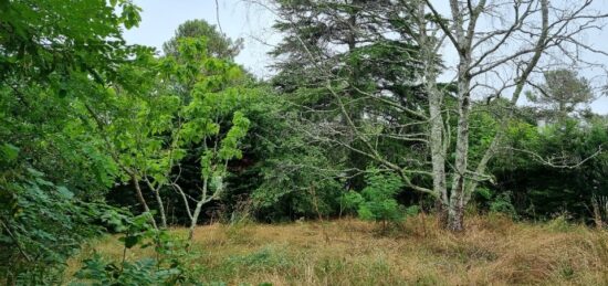 Terrain à bâtir à Saint-Médard-en-Jalles, Nouvelle-Aquitaine