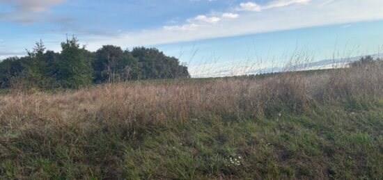 Terrain à bâtir à La Réole, Nouvelle-Aquitaine