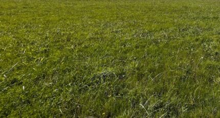 Jugeals-Nazareth Terrain à bâtir - 2318130-11288annonce120251025hUyHq.jpeg Maisons France Confort