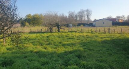 Le Taillan-Médoc Maison neuve - 2312469-11301annonce120251021yfkMv.jpeg Maisons France Confort