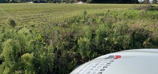 Terrain à bâtir à Champtocé-sur-Loire, Pays de la Loire