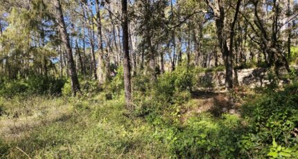 Bagnols-en-Forêt Terrain à bâtir - 2381454-5163annonce320260105RfIMB.jpeg Maisons France Confort