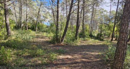 Bagnols-en-Forêt Maison neuve - 2381506-5163annonce220260105ssy8d.jpeg Maisons France Confort