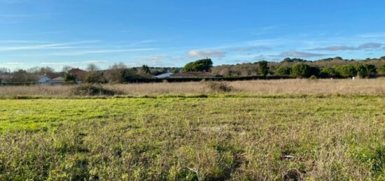 Terrain à bâtir à Saint-Palais-sur-Mer, Nouvelle-Aquitaine