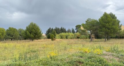 Saint-Pargoire Terrain à bâtir - 2314376-11455annonce12025102255iAr.jpeg Maisons France Confort