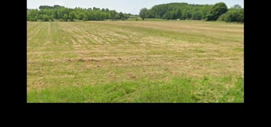 Terrain à bâtir à Berson, Nouvelle-Aquitaine