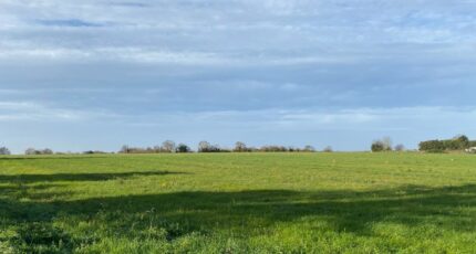 Port-des-Barques Maison neuve - 2379550-11194annonce220260102nxneR.jpeg Maisons France Confort