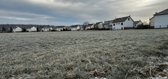 Terrain à bâtir à Jussac, Auvergne-Rhône-Alpes
