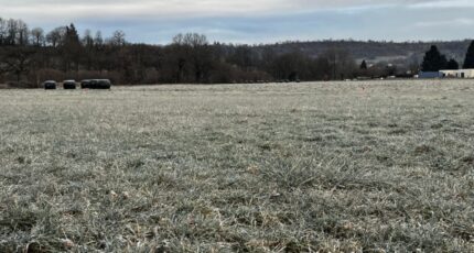 Jussac Terrain à bâtir - 2382229-3828annonce220260106ndzRg.jpeg Maisons France Confort