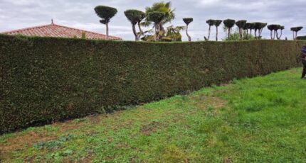 Tignieu-Jameyzieu Maison neuve - 2382308-11092annonce220260102H8pda.jpeg Maisons France Confort