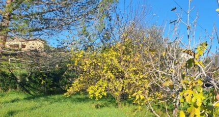 Carros Terrain à bâtir - 2382914-10316annonce120260106uVXoJ.jpeg Maisons France Confort