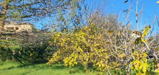 Terrain à bâtir à Carros, Provence-Alpes-Côte d'Azur