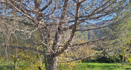 Carros Terrain à bâtir - 2382914-10316annonce320260106IOo2d.jpeg Maisons France Confort