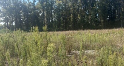 Galgon Terrain à bâtir - 2382952-10947annonce120260106LUpTn.jpeg Maisons France Confort