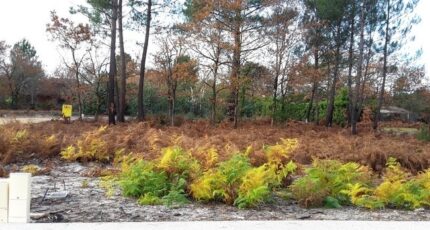 Saint-Magne Maison neuve - 2383287-3957annonce120260106Q29NK.jpeg Maisons France Confort