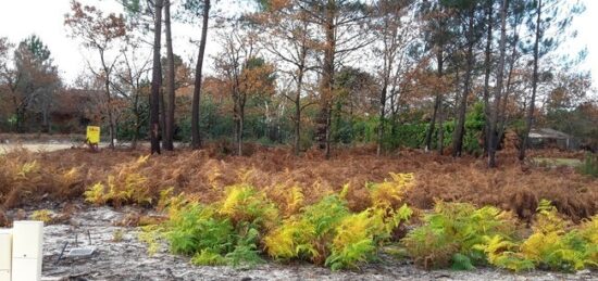 Terrain à bâtir à Saint-Magne, Nouvelle-Aquitaine