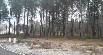 Cestas Terrain à bâtir - 2383347-3957annonce120260106GponS.jpeg Maisons France Confort