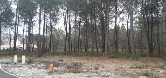 Terrain à bâtir à Cestas, Nouvelle-Aquitaine