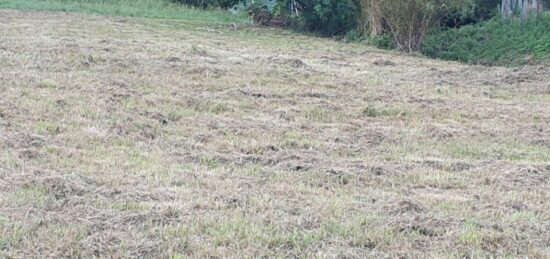 Terrain à bâtir à Saint-Romain-la-Virvée, Nouvelle-Aquitaine