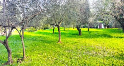 Draguignan Maison neuve - 2354444-10025annonce420251202s3N36.jpeg Maisons France Confort