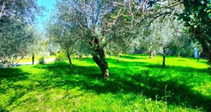 Draguignan Maison neuve - 2354444-10025annonce1202512023af1k.jpeg Maisons France Confort