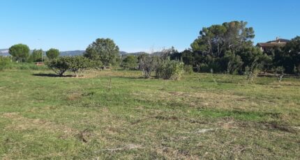 Fréjus Terrain à bâtir - 2383524-10295annonce120260107bf7JR.jpeg Maisons France Confort