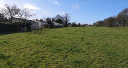 Médis Terrain à bâtir - 2315981-11644annonce220251023FrJZq.jpeg Maisons France Confort