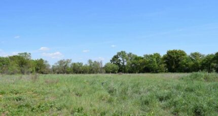 Galargues Maison neuve - 2383887-3243annonce220250510kV5d9.jpeg Maisons France Confort