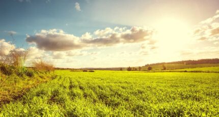 Azay-le-Rideau Terrain à bâtir - 2380901-10650annonce120260105g1e8K.jpeg Maisons France Confort