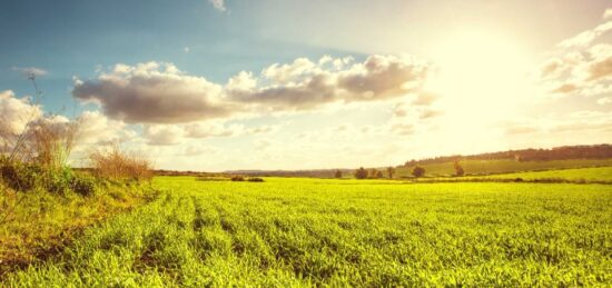 Terrain à bâtir à Monnaie, Centre-Val de Loire