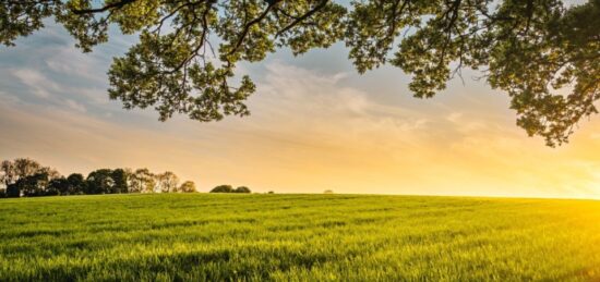 Terrain à bâtir à Veigné, Centre-Val de Loire