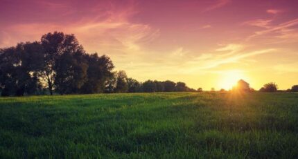 Manthelan Terrain à bâtir - 2381150-10650annonce120260105hu6Uk.jpeg Maisons France Confort