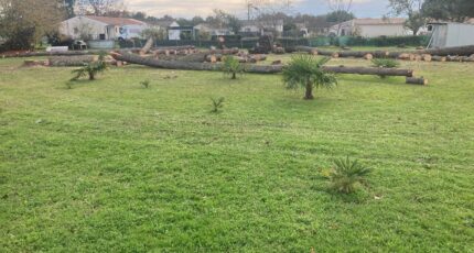 Les Peintures Terrain à bâtir - 2384372-11367annonce120260107nocmv.jpeg Maisons France Confort