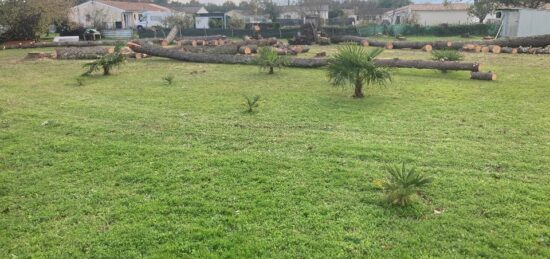 Terrain à bâtir à Les Peintures, Nouvelle-Aquitaine