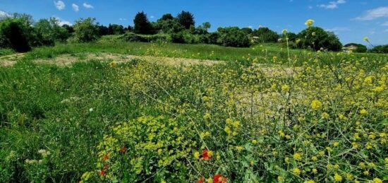 Terrain à bâtir à Montagnac, Occitanie