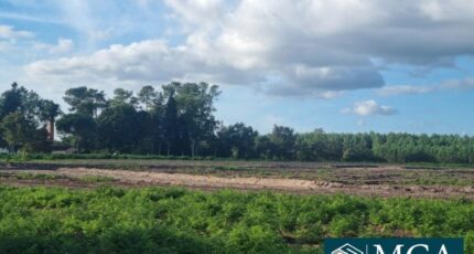 Laluque Terrain à bâtir - 2384399-5828annonce1202507096XCwl.jpeg Maisons France Confort