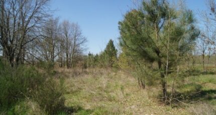 Le Barp Terrain à bâtir - 2384432-11071annonce120260107yxwyI.jpeg Maisons France Confort