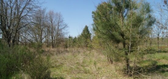 Terrain à bâtir à Le Barp, Nouvelle-Aquitaine