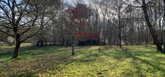 Terrain à bâtir à Louchats, Nouvelle-Aquitaine