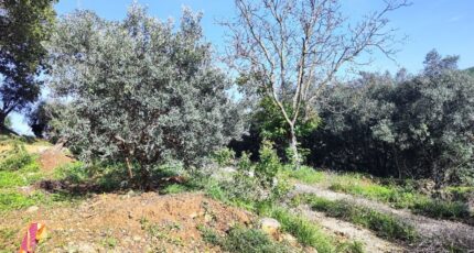 Solliès-Toucas Maison neuve - 2384252-11039annonce320260107xpr74.jpeg Maisons France Confort