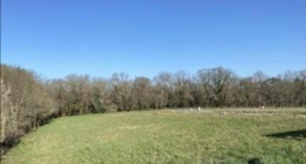 Bouliac Maison neuve - 2384485-7351annonce1202601071HDyJ.jpeg Maisons France Confort