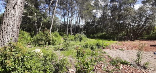 Terrain à bâtir à , Var